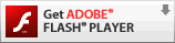 Adbe Flash Player